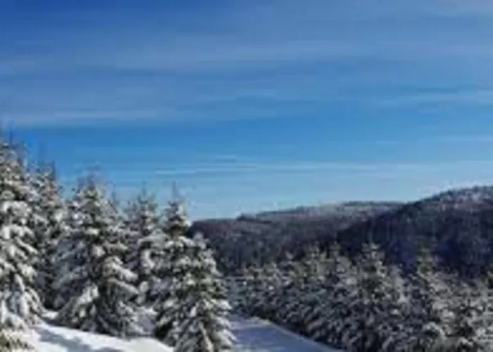 Résidence La Combeauté * Girmont-Val-d'Ajol