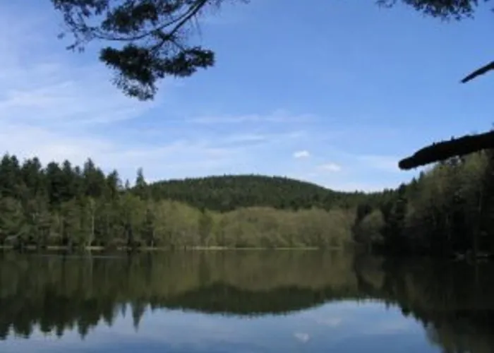 Résidence La Combeauté * Girmont-Val-d'Ajol